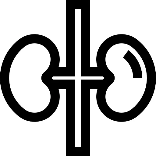 Kidneys