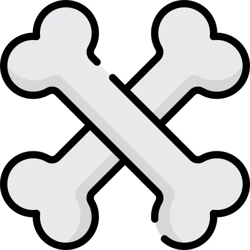 Bones