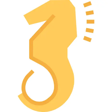 Seahorse