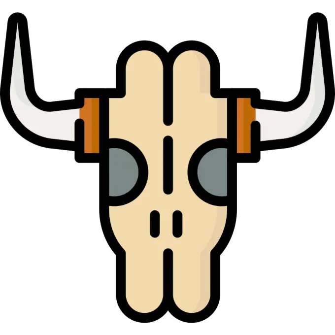 Bull skull