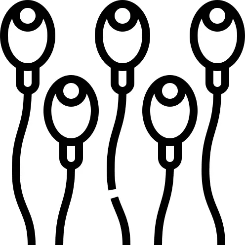 Sperm