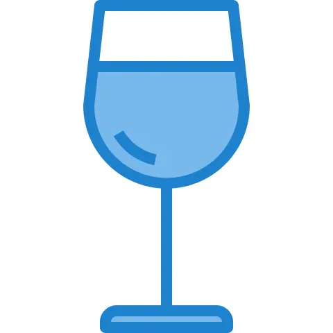 Wine glass