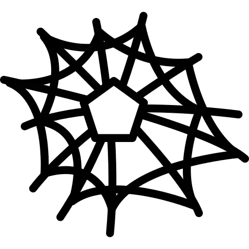 Spider web