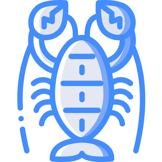 Lobster