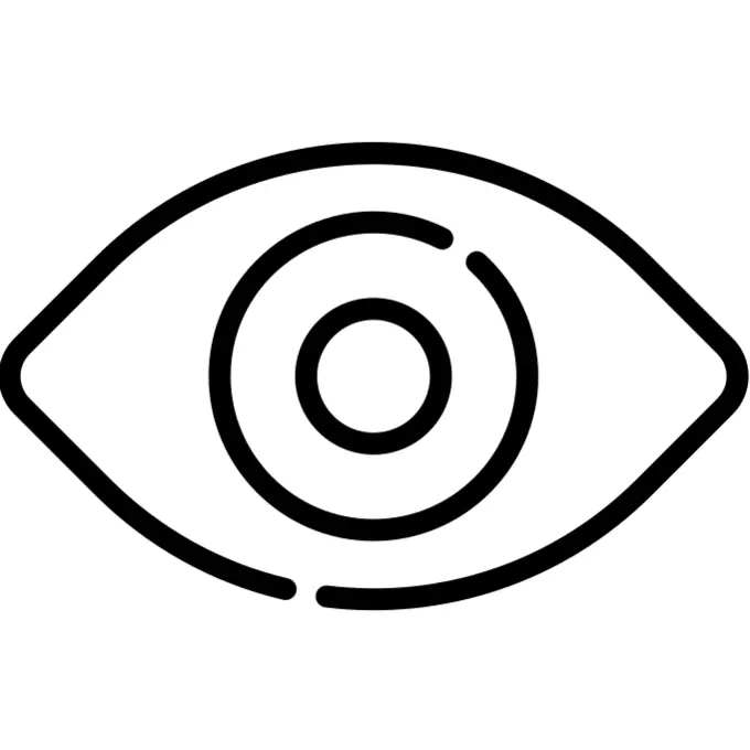 Vision