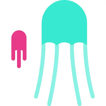 Jellyfish