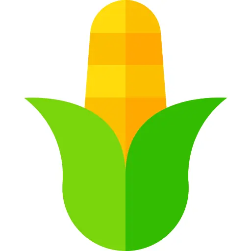Corn