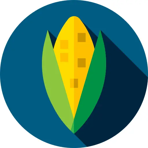 Corn