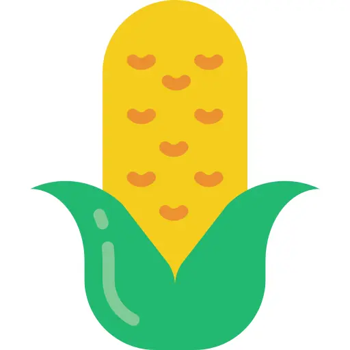Corncob