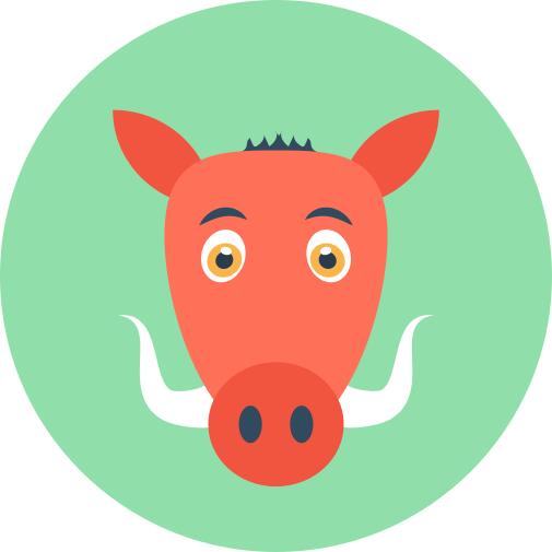 Wild boar
