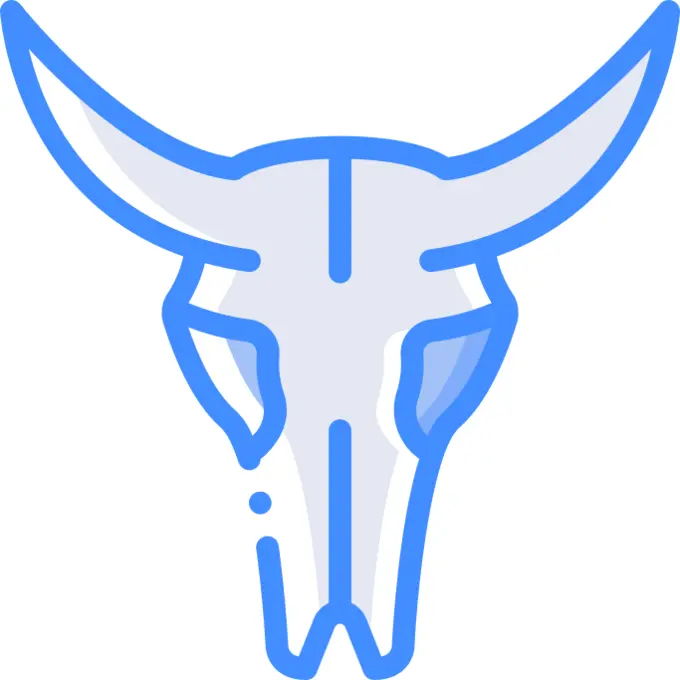 Bull skull