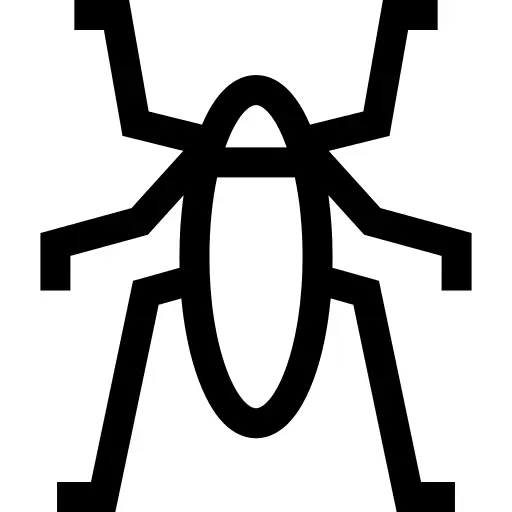 Insect