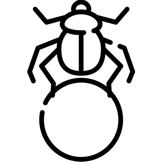 Scarab