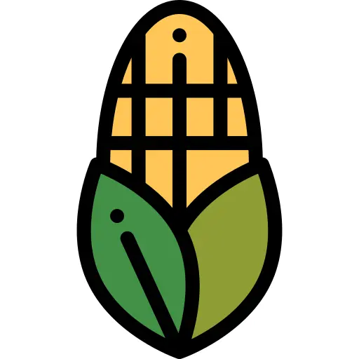 Corn