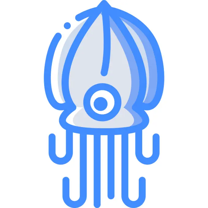 Squid