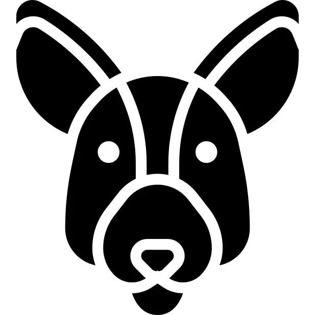Kangaroo