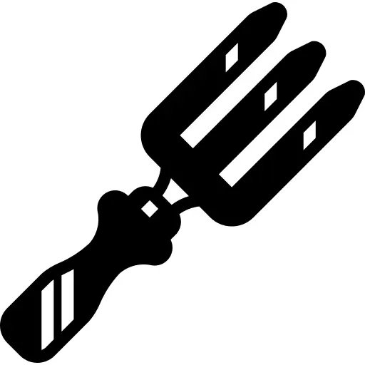 Fork