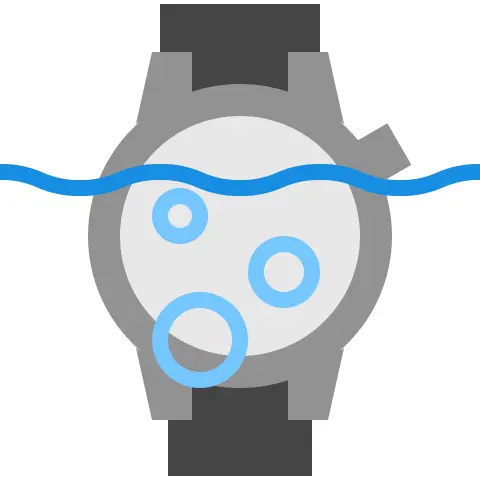 Diving watch