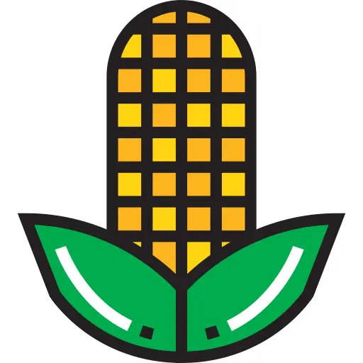 Corn