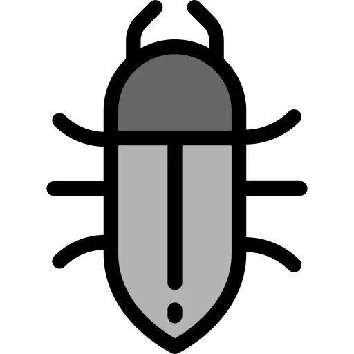 Beetle