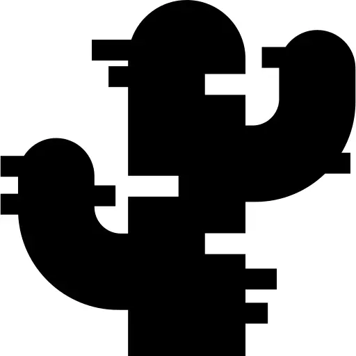 仙人掌