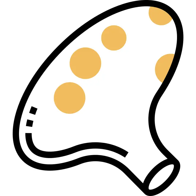 Ocarina