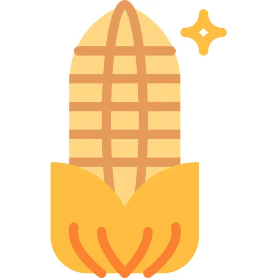 Corn
