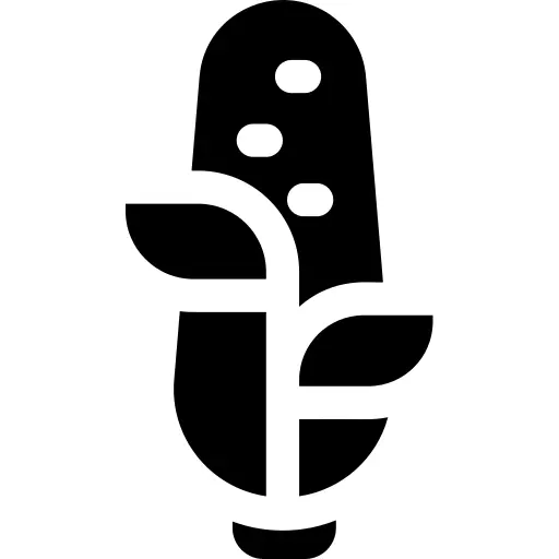 Corn