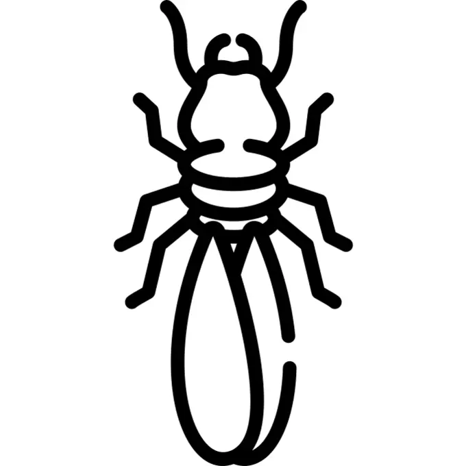 Termite
