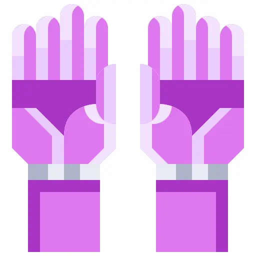 Prothesis