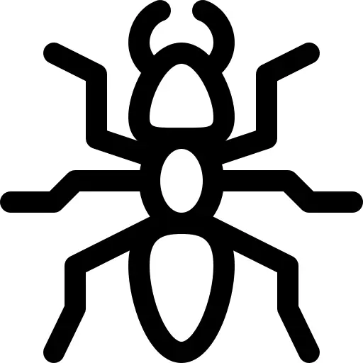 Ant