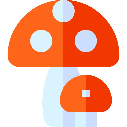 Mushroom