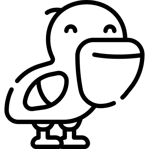 Pelican
