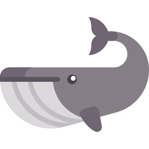 Whale
