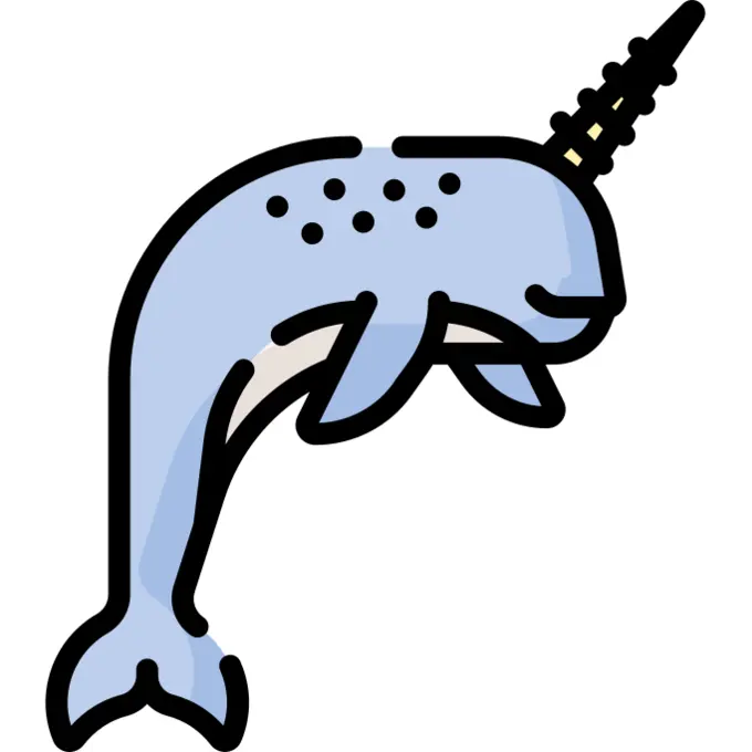 Narwhal