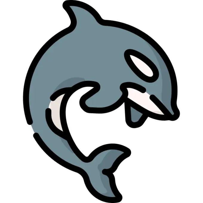 Orca