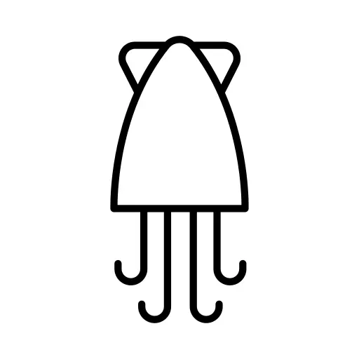 Squid