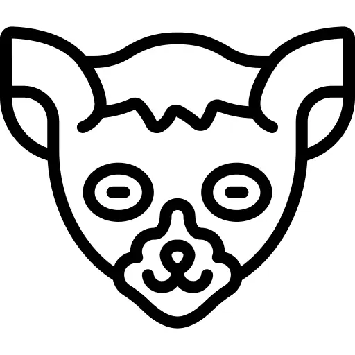 Lemur