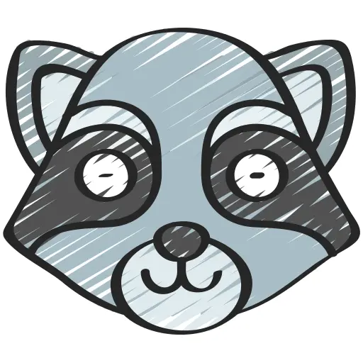 Racoon