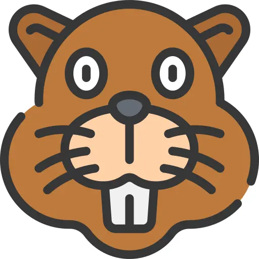 Beaver
