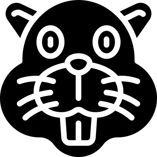 Beaver