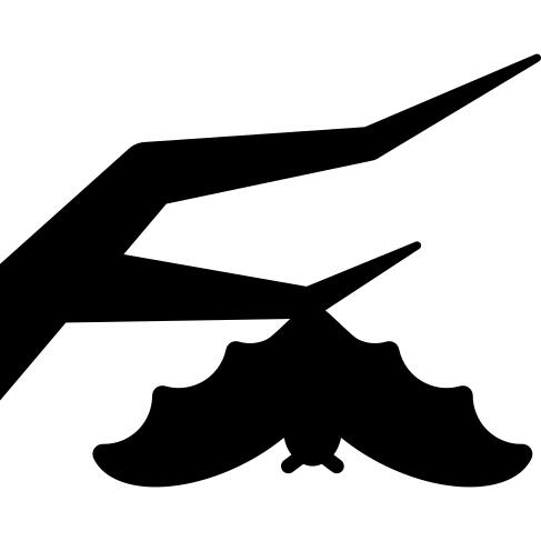 Branch Bat
