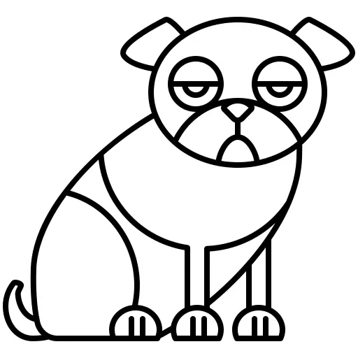 Pug