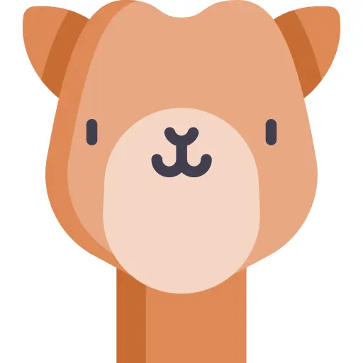 Camel