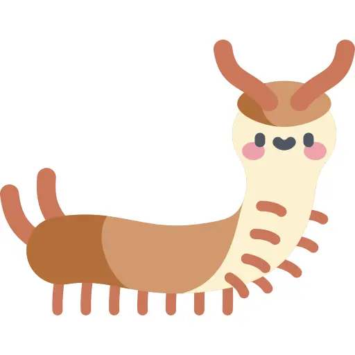 Centipede