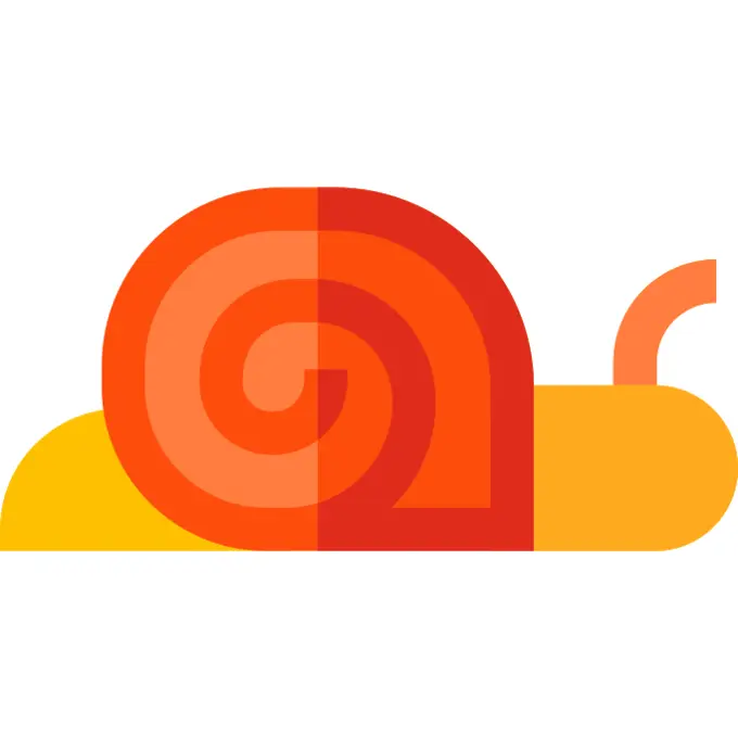 Snail