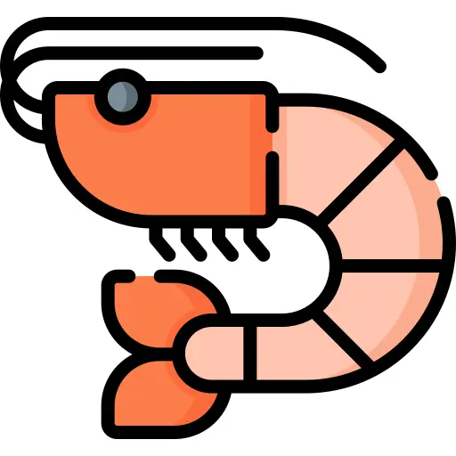 Shrimp