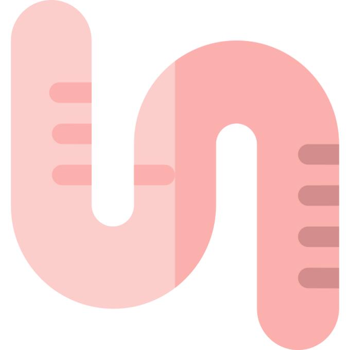 Worm