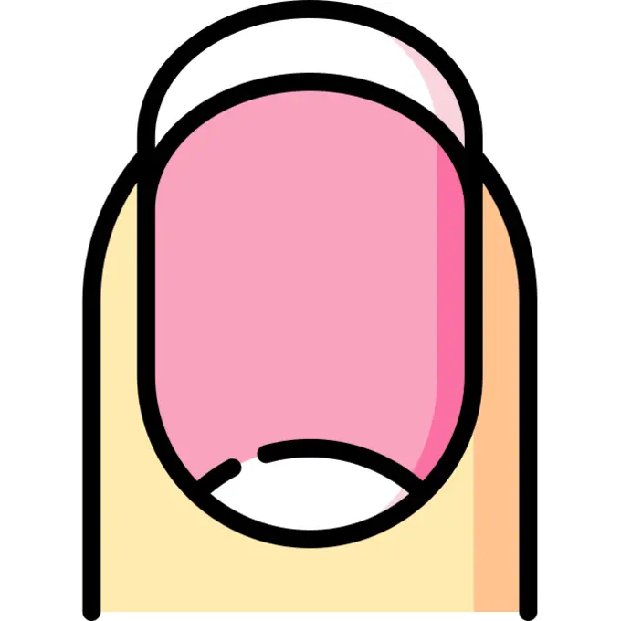 Fingernail