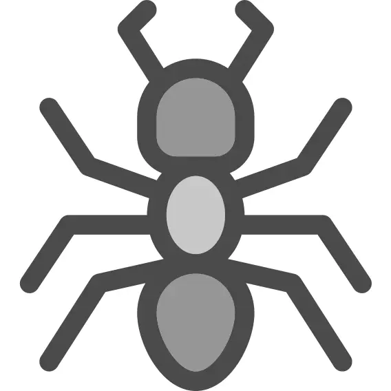 Ant